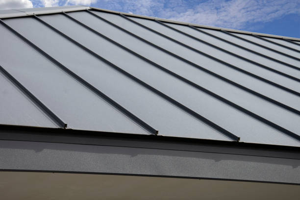 Best Asphalt Shingles Roofing  in Sebring, FL